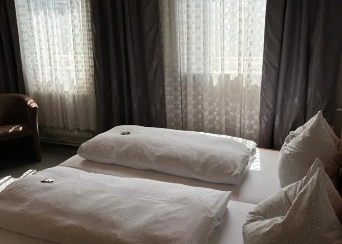 Hotel Goldener Loewe *