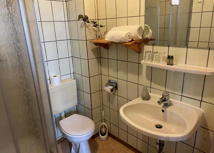 Hotel Goldener Loewe *